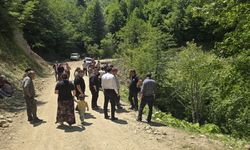 Zonguldak'ta şarampole devrilen otomobildeki 3 kişi yaralandı