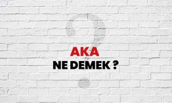 Aka Ne Demek?
