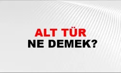 Alt tür ne demek