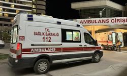 Ailelerin kavgası kanlı bitti: Köy muhtarı hayatını kaybetti