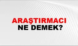 Araştırmacı ne demek?