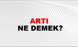 Artı kelimesi Türkçede birkaç anlamda kullanılır: