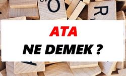 Ata ne demek ?