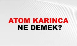 Atom karınca ne demek