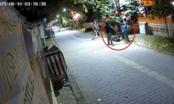 Aydınlatma Direklerine Zarar Verdiler, Güvenlik Kameralarına Yakalandılar