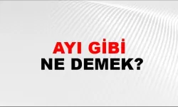 Ayı gibi ne demek