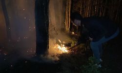 Bolu’daki orman yangını 8 saatte kontrol altına alındı
