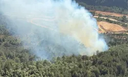 Balıkesir'in Bigadiç ilçesindeki orman yangını kontrol altına alındı