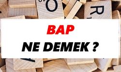 Bap ne demek
