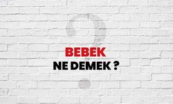 Bebek Ne Demek?