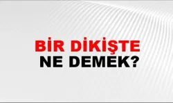 Bir dikişte ne demek