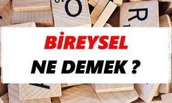 Bireysel ne demek ?