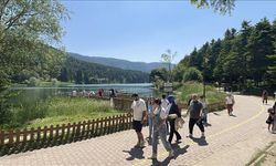 Bolu'daki tabiat ve milli parklar bayramda ilgi gördü
