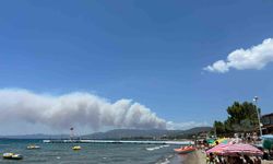İzmir Menderes’te orman yangını