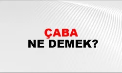 Çaba ne demek?