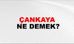 Çankaya ne demek