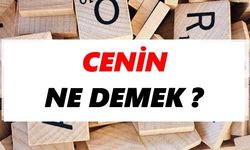 Cenin ne demek?
