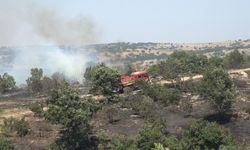 Kırklareli’nde ceviz bahçesi ve orman alanında yangın