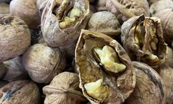 Rüyada Ceviz Görmek Ne Anlama Geliyor?