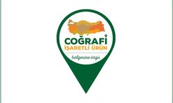 Coğrafi İşaret Tescili Nedir?