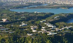 Çukurova Hakkında Bilgi