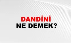 Dandini ne demek