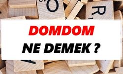 Domdom Ne Demek?