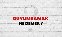 Duyumsamak Ne Demek?