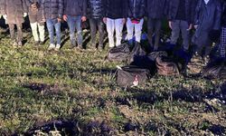 Edirne, Kırklareli ve Tekirdağ'da 29 düzensiz göçmen yakalandı
