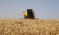 Edirne'de buğday üreticilerinin hasat mesaisi başladı