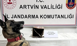 Artvin’de uyuşturucu operasyonu: 7 zehir taciri tutuklandı