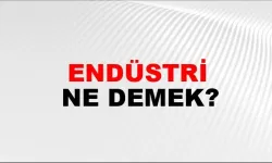 Endüstri ne demek
