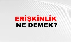 Erişkinlik Ne Demek?