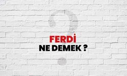 FERDİ KELİMESİNİN ANLAMI NEDİR? BİREYSEL VE ÖZGÜRLÜKÇÜ BİR KAVRAM