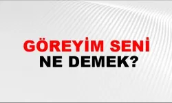 Göreyim seni ne demek