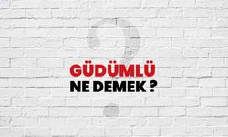 Güdümlü Ne Demek?