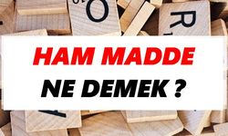 Hammadde ne demek?