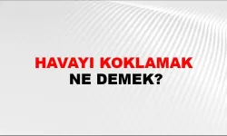 Havayı koklamak nedir