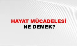 Hayat mücadelesi ne demek ?
