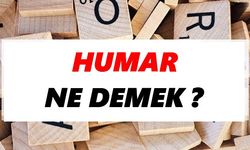 "Humar" Ne Demek?