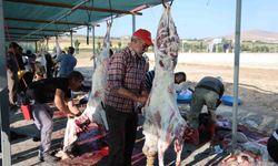 Elazığ’da bayram namazını kılan vatandaşlar, kurbanlarını kesti