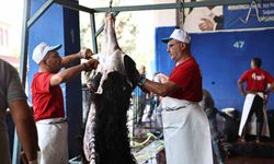 Antalya Büyükşehir Belediyesi’nden hijyenik ortamda ücretsiz kurban kesim hizmeti