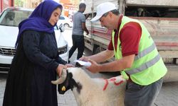 Şanlıurfa’da yetim ailelere canlı kurbanlık dağıtıldı