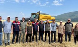 Afyonkarahisar’da hububat hasadı başladı