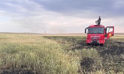 Kulu’da arpa ekili tarlada yangın