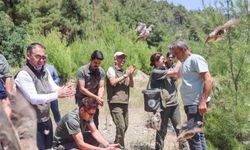 300 kınalı keklik doğaya salındı