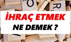 İhraç etmek ne demek?