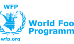 WFP'den Sudanlı Mülteciler İçin Açlık Uyarısı: Gıda Yardımları Kesilebilir