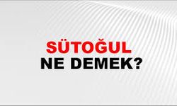 Sütoğul ne demek