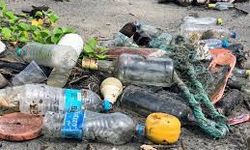 Plastik Atıklar Ekosistemi Sessizce Tahrip Ediyor